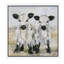 Debi Coules - Print on Canvas-32981708-56674912