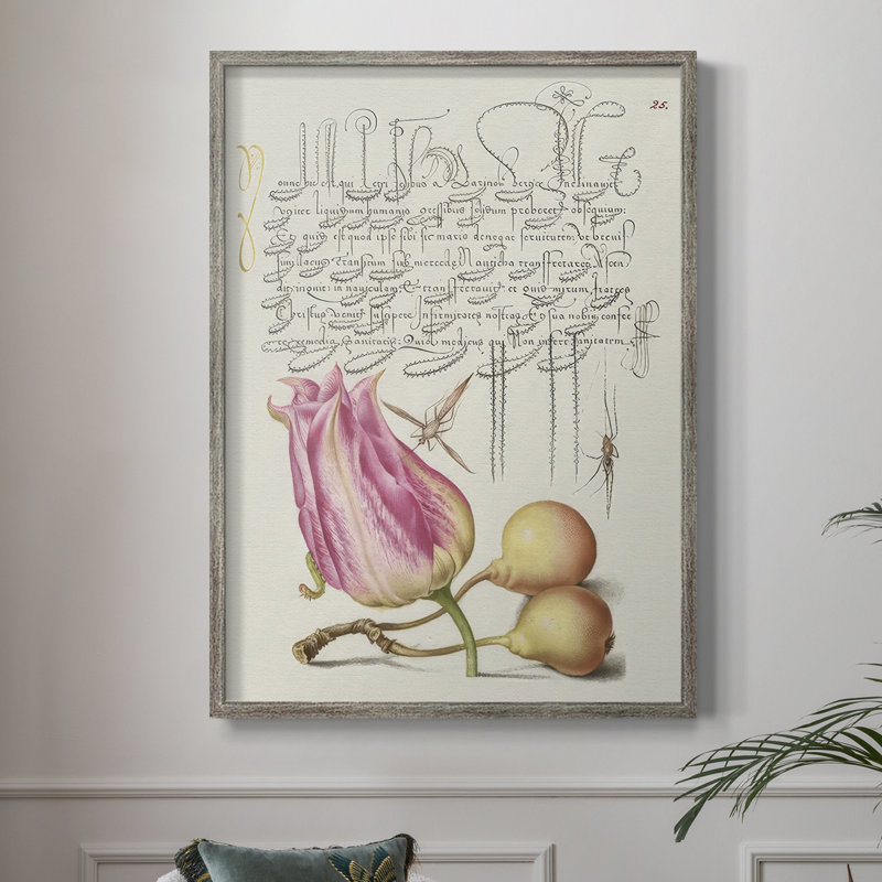 Reproduction encadrée de Hoefnagel, «Tropical Specples III» - bois massif, H 30 po x l 24 po