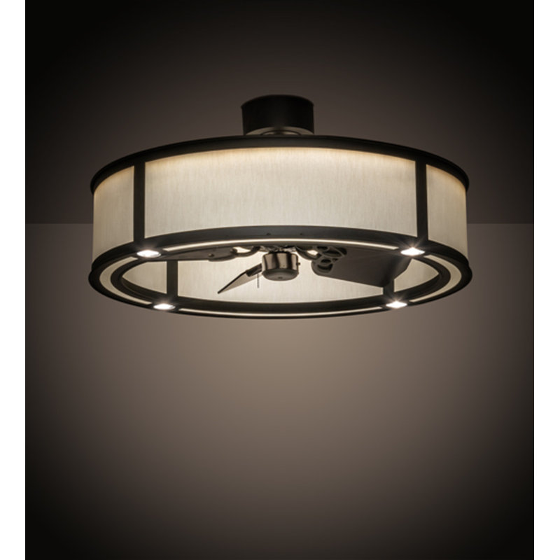 Dannae 30'' Ceiling Fan with LED Lights