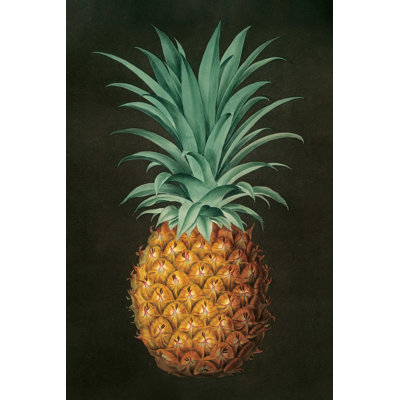 Ananas rétro II