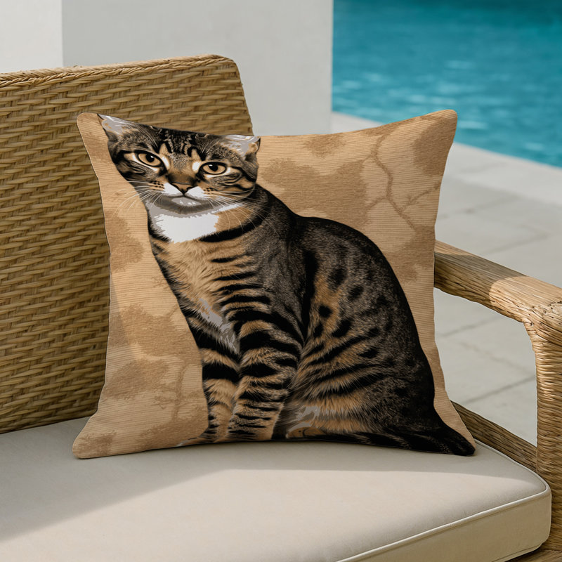Coussin intérieur et extérieur Cats, Carré 20 po, Shorthair brésilien beige