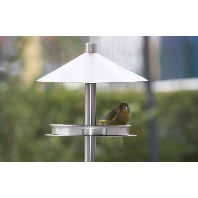 Blandino Metal Freestanding Tray Bird Feeder