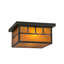 2 - Light Flush Mount
