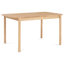 Wexley Rectangle Dining Table-1732856912
