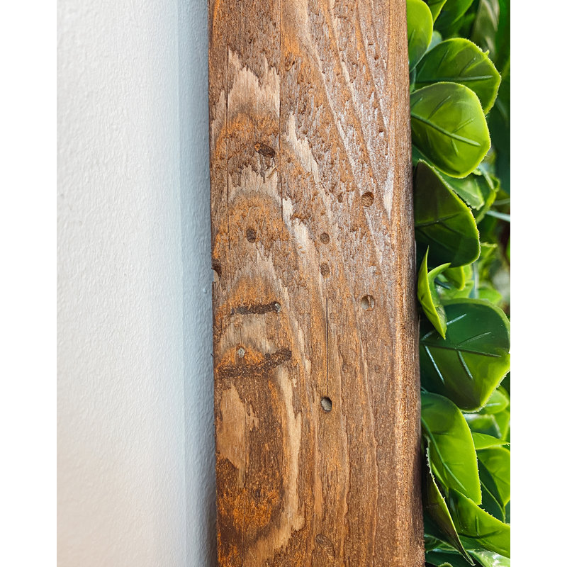 106cm Plant, Brown