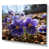 Wrapped Canvas