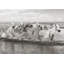 Herd Of Horses, Camargue - Wrapped Canvas Print-1488889262