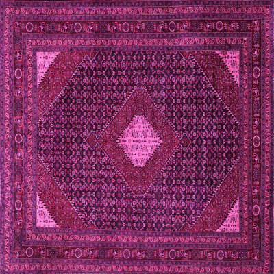 Oriental Indoor Rug