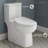 Classe One-Piece Toilet-44637970-63694534