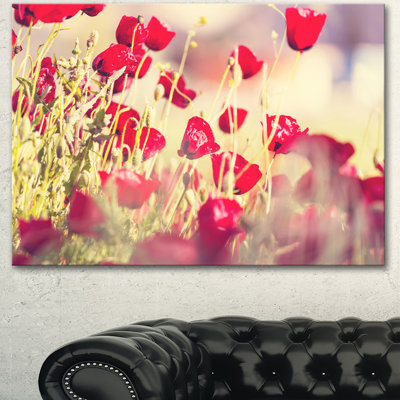 « dépilés », reproduction de photo sur toile tendue, reproduction de photo sur fond