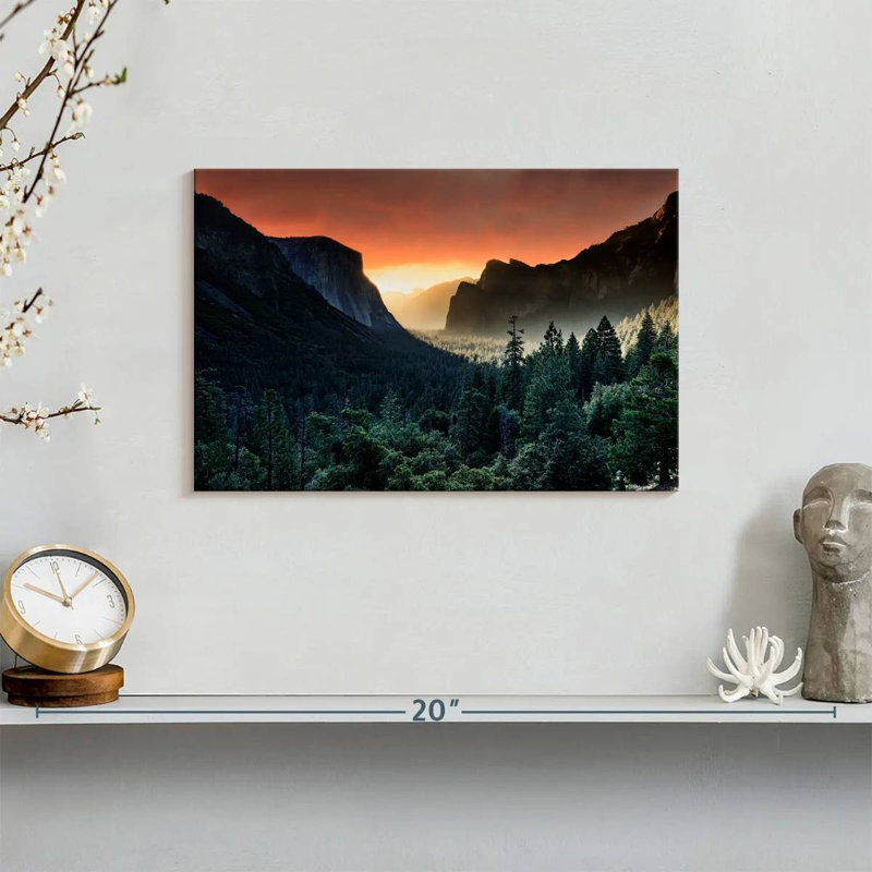 Harnek Forest Last Light, 8" H x 12" W