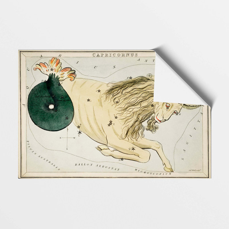 Astronomical Zodiac Chart Of The Capricorn - No Frame Print, 29.7 cm H x 42 cm W