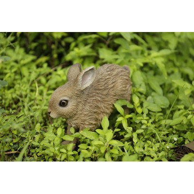Hare Cub Running Statue