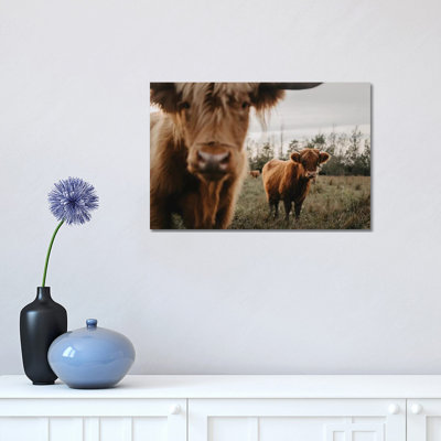 " The Highland Cows " by Chelsea Victoria