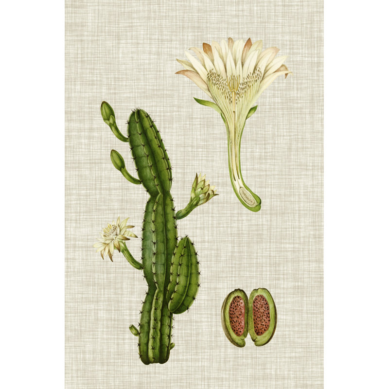 Elegant Tropicals III by Vision Studio - Wrapped Canvas Painting, 122cm H x 81cm W x 3.8cm D