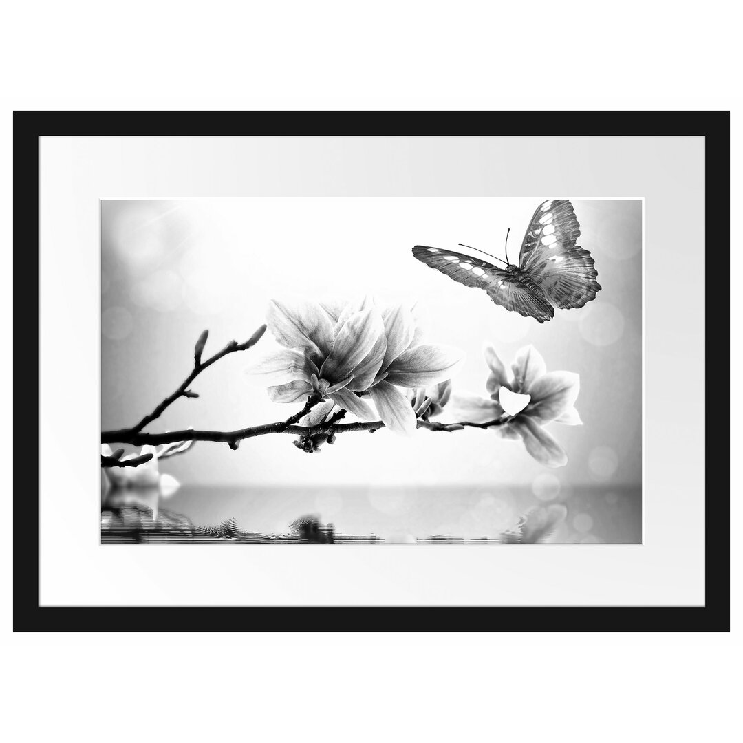 Gerahmtes Poster Schmetterling mit Magnolien-Blüte