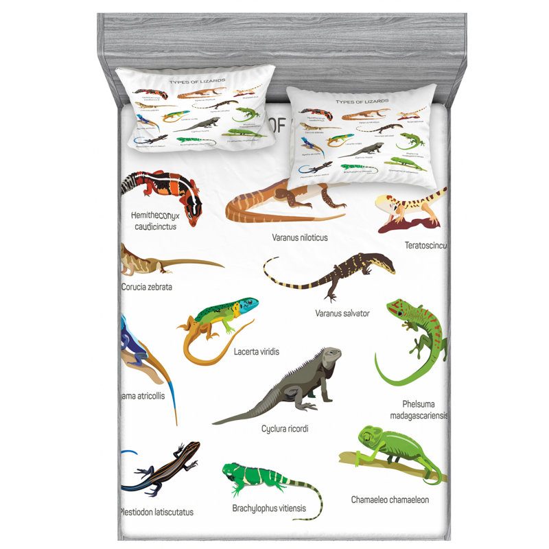 Microfiber Sheet Set, Full Sheet Set with Fitted Sheet