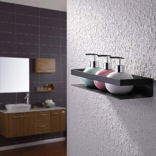 https://assets.wfcdn.com/im/61025326/resize-h310-w310%5Ecompr-r85/1096/109662283/rolef-drill-screw-stainless-steel-shower-shelf.jpg