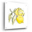 «Lemon Still Life II» par Chris Paschke-101632186