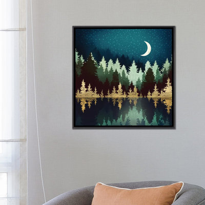 " Star Forest Reflection "