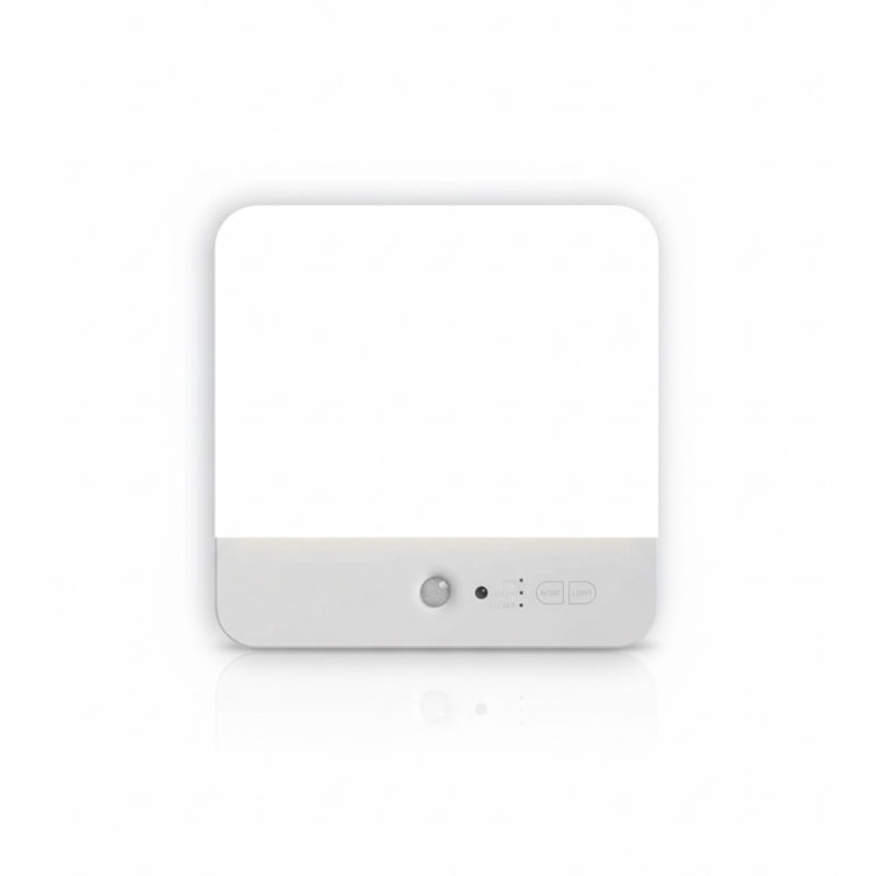 Flush Mount
