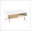 Table basse en rotin tissé avec rangement à porte coulissante et pieds en bois massif pour une vie moderne