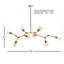 Daniella Globe Chandelier