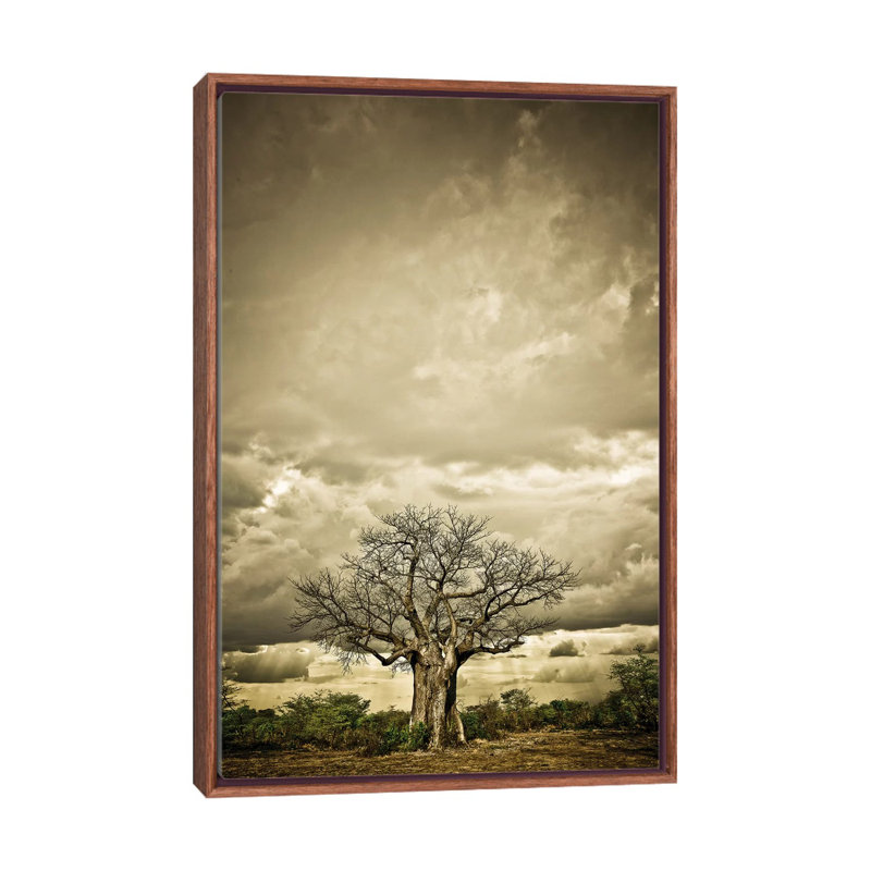 Baobab Hierarchy IV by Klaus Tiedge - Print on Canvas, Classic Brown Wood Framed, 66.04 cm H x 45.72 cm W