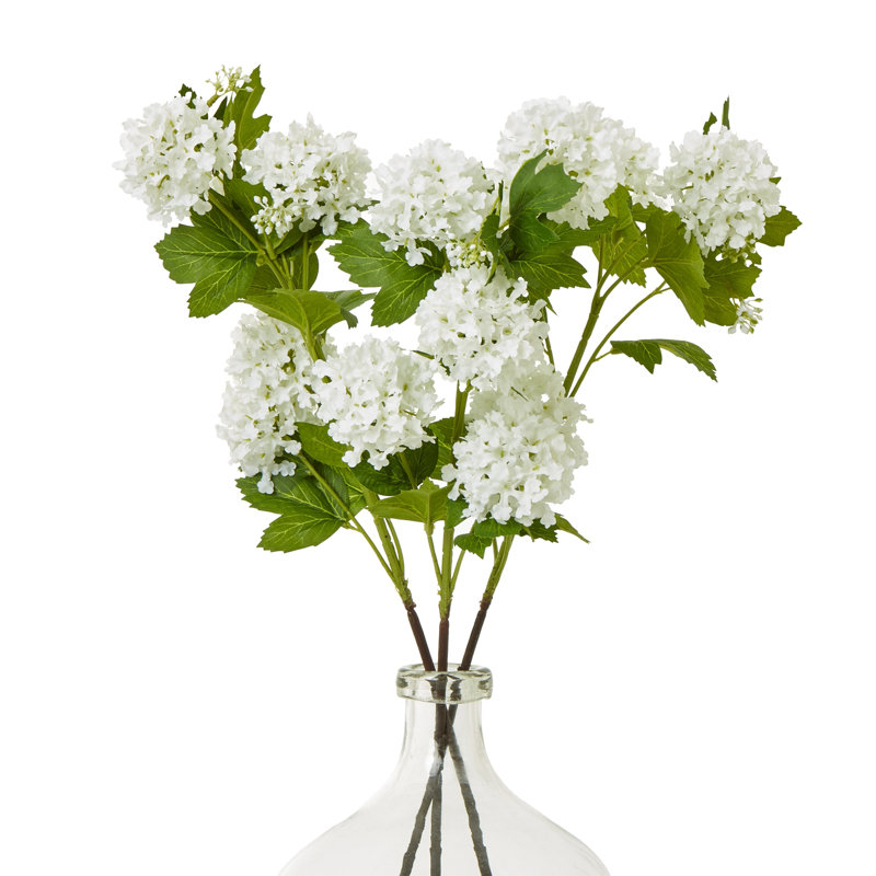 Anastasija Arrangement, White, Brown