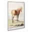 Horse by A.B. De Boodt - Wrapped Canvas-55359418