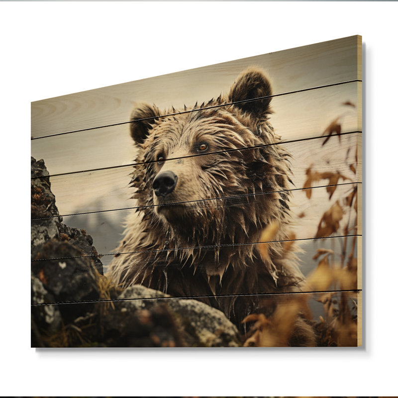 Ours, photographie de paysage monochrome sur bois, H 24 po x l 32 po x P 0,78 po
