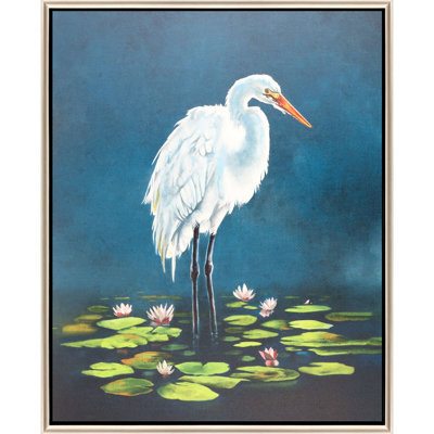 Aigrette dans des nénuphars