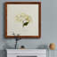 Cornales Hydrangea II - toile encadrée de qualité supérieure - prête à être accrochée-317465506-317465508