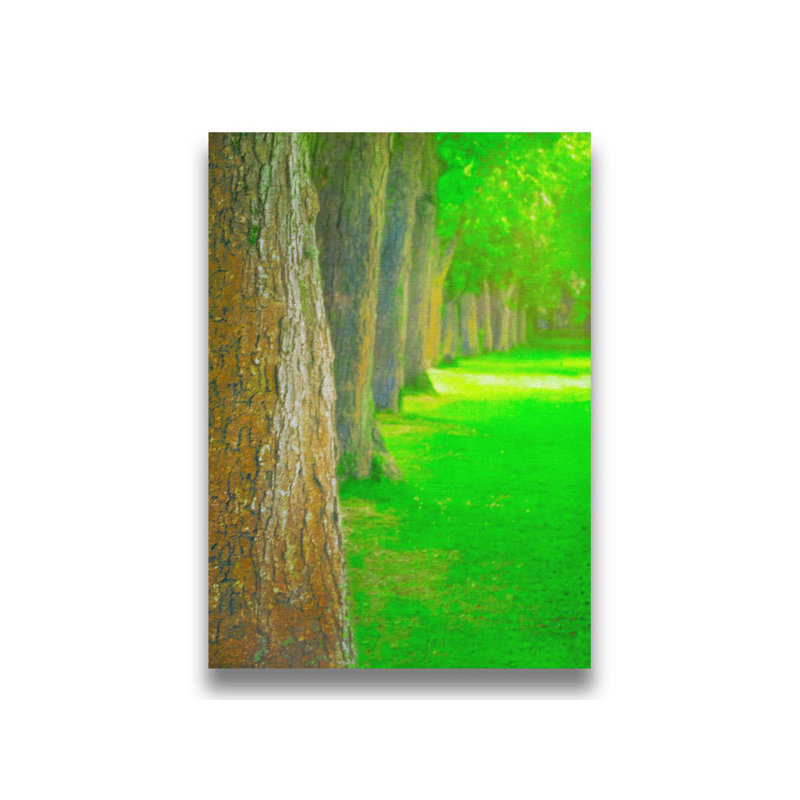 Dans le parc le long du chemin - couleur par Hal Halli. Impression sur papier - Montée et encadrée, H 40 po x l 52 po