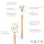 Tovolo Spatulart® Carrot Patch Spatula
