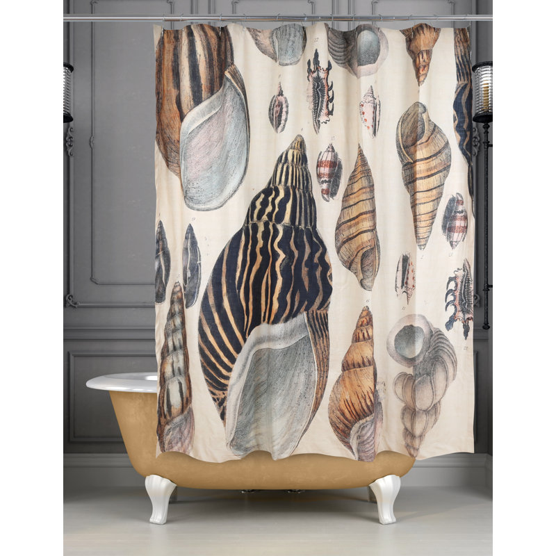 Rideau de douche Conchology