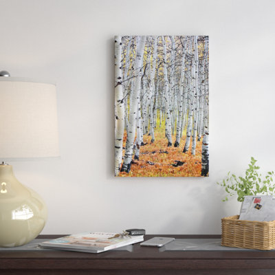 « Autumn in Aspen », reproduction de photo