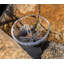 Sand Dollar Bowl, Medium