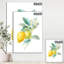 «Floursack Lemon II», reproduction d'art sur toile tendue-55948693