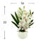 Orchid Arrangement with Rocks in a Ceramic Pot-1614395909