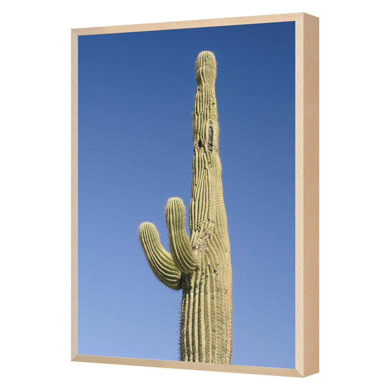 Buckeye, Arizona 7, reproduction d'art encadrée sur papier par August Studios