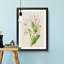Illustration of Pink Dendrobium Orchids - Picture Frame Painting Print-55579734-55579739