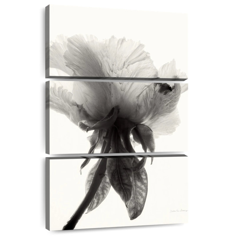 Harnek Translucent Peony II, 65" H x 42" W
