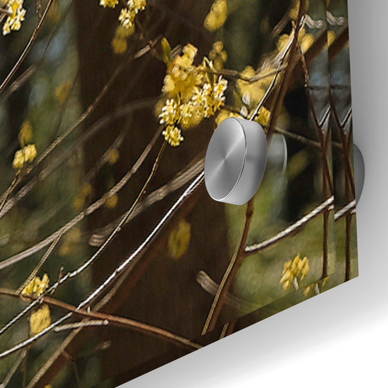 " Spring " by Kelly Sinclair, 36" H x 36" W x 0.2" D