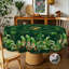 Nappe en polyester lavable à quatre feuilles et trèfle-184844131