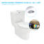 Toilette allongée monopièce à jet double avec siphon à jet double 1,1 / 1,6 GPF