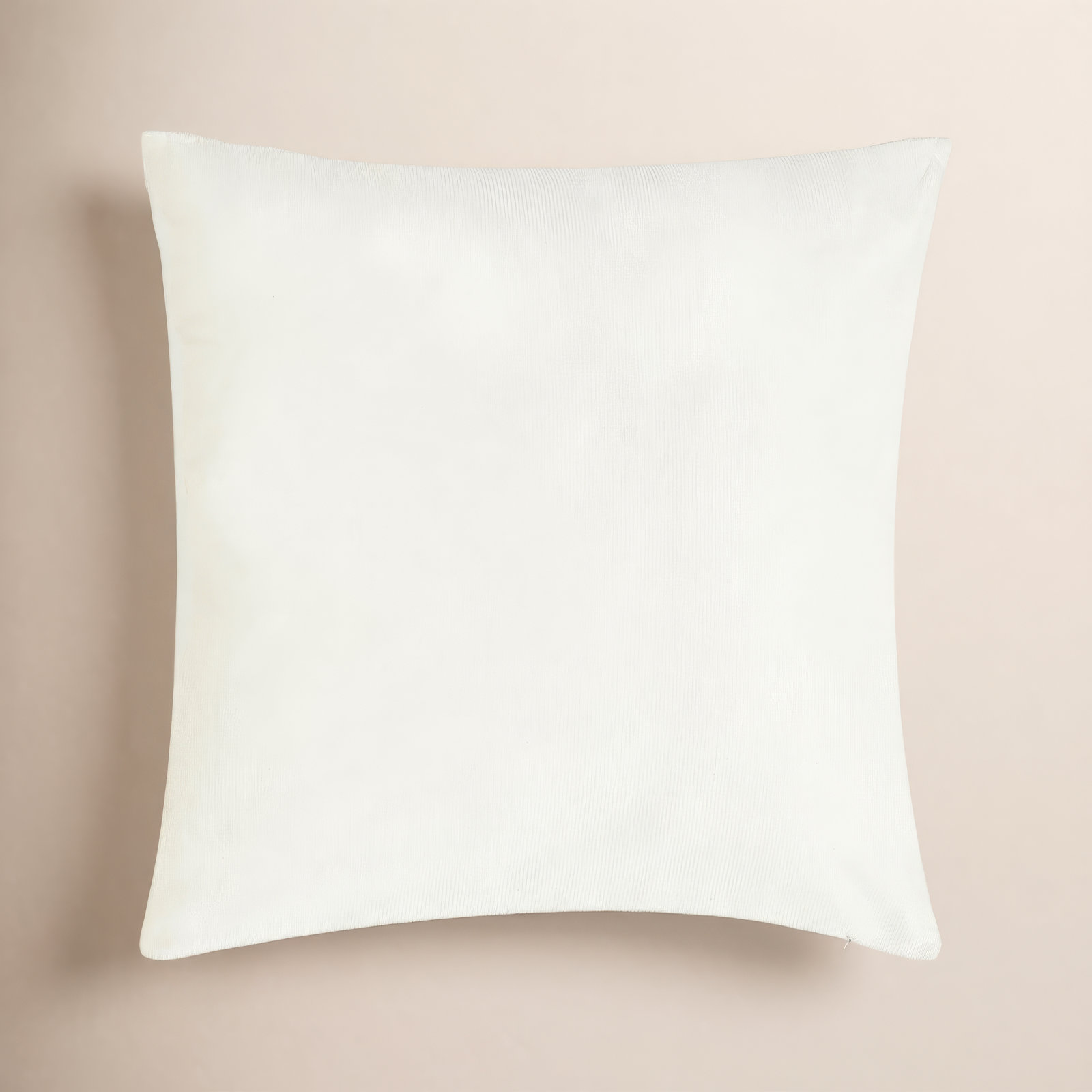 Vincie 20" x 20" Throw Pillow, Cream