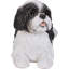 Statue d'un shih tzu allongé-1058368216