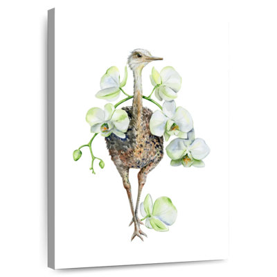 Ostrich And Orchid