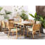 Lale Patio Dining Armchair with Cushion